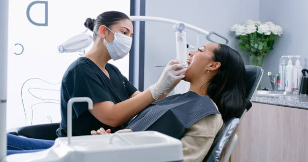 Professional Dental Services in Grand Meadow, MN